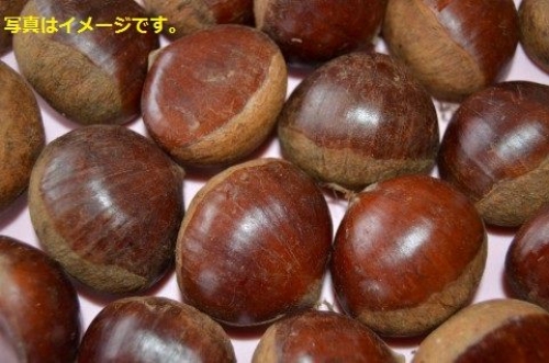 イベントフォト