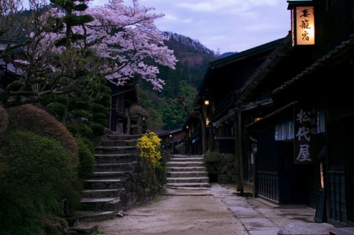 長野 妻籠宿の桜