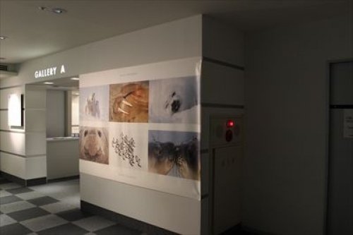 イベントフォト