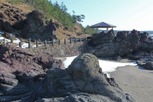 イベントフォト