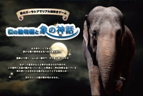 イベントフォト