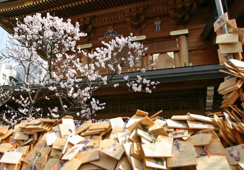 イベントフォト