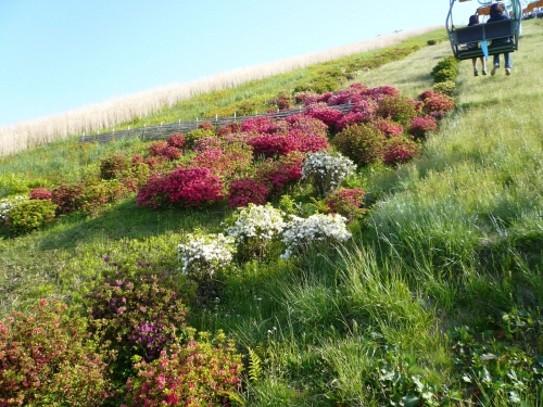 イベントフォト
