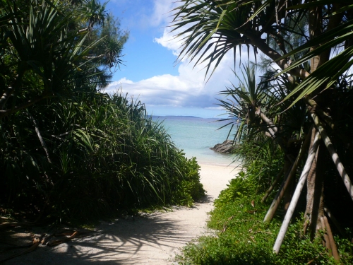 イベントフォト