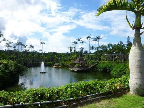 イベントフォト