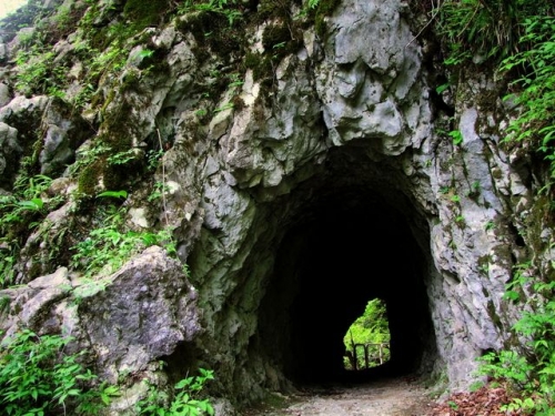 イベントフォト