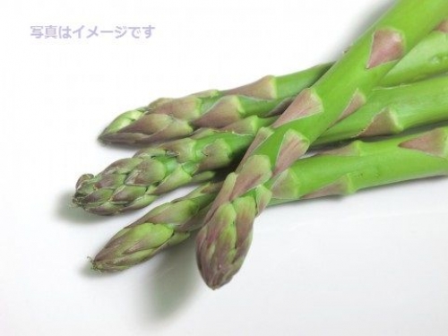 アスパラガス祭り(Stockton Asparagus Festival):アメリカ