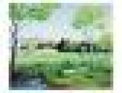 イベントフォト