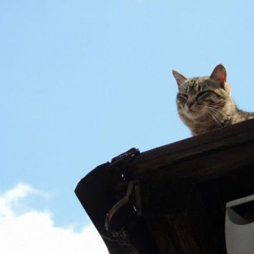 改めまして、Evenear（イベニア）です。