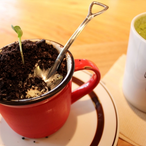 盆栽を知って、見て、味わう！？　オシャレな「盆栽カフェ」で日本の心、盆栽を愛でてみた。